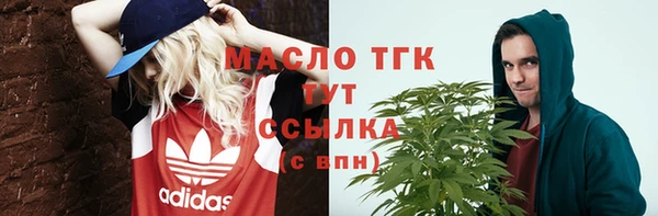 2c-b Горнозаводск