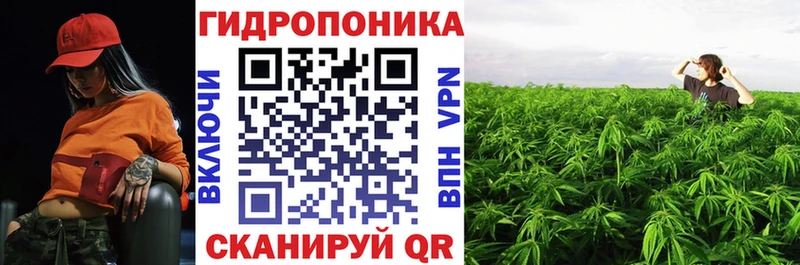 Купить где Козельск Каннабис марихуана